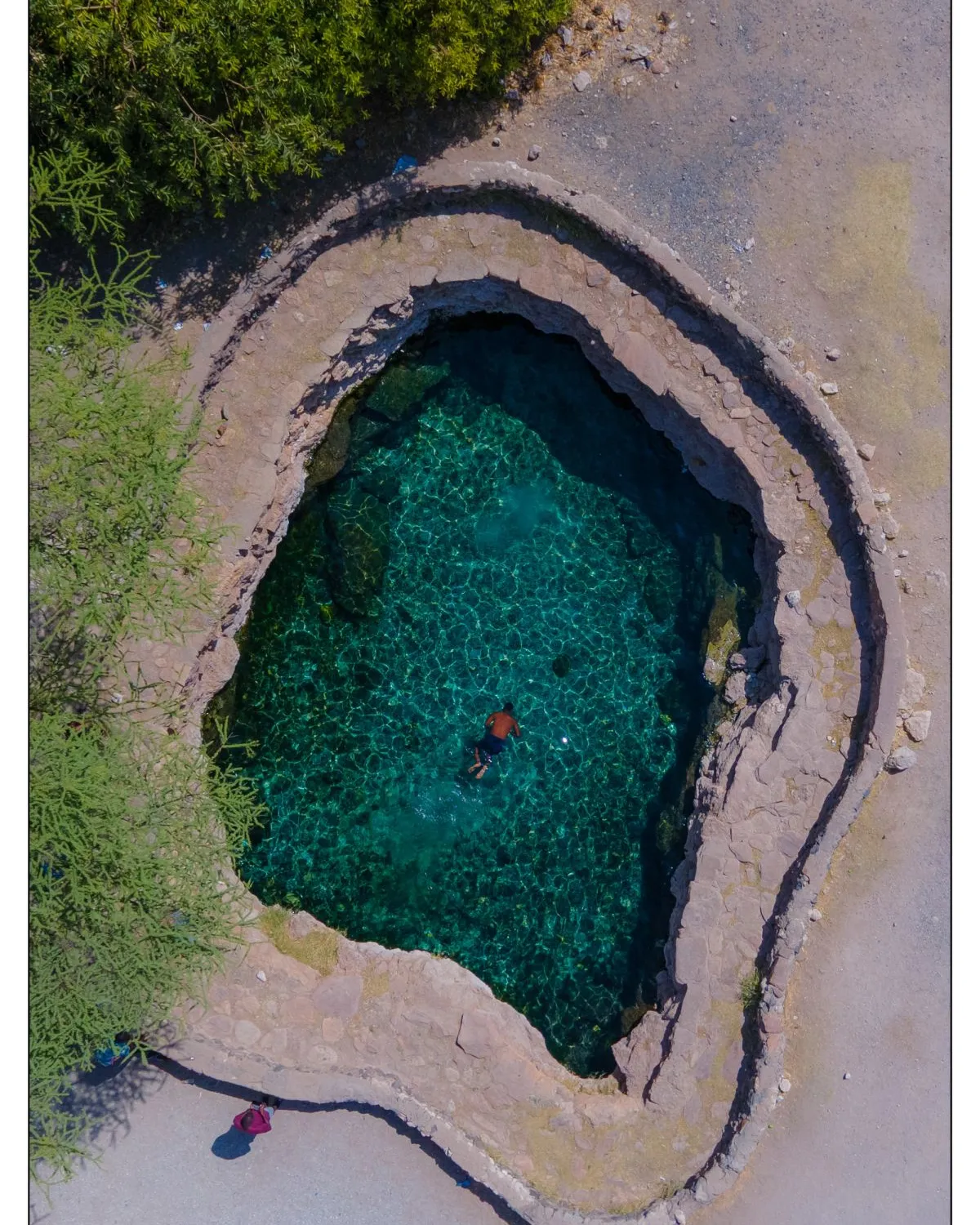 Buffalo Springs